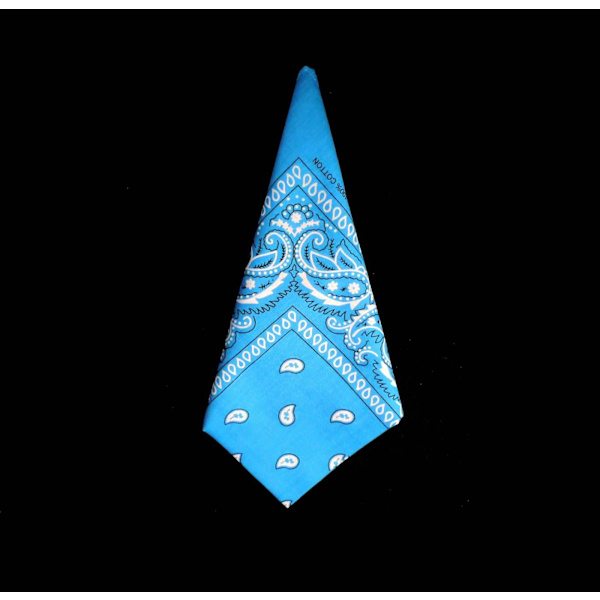 Bandana Paisleymönster Turkos