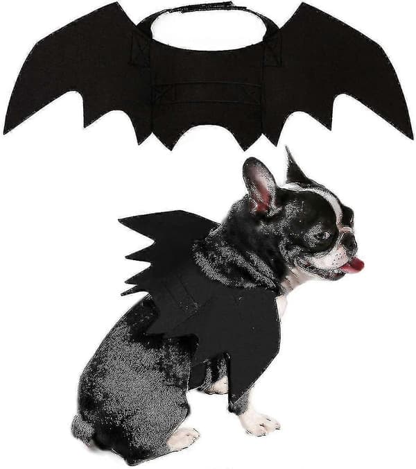 Kjæledyr Halloween Flaggermusdrakt