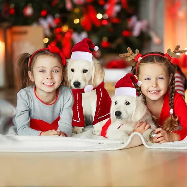 Dww-Julehue til kæledyr, julehalstørklæde til kæledyr, julekostume til katte og hunde, til julehøjtiden