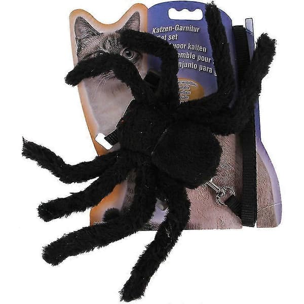 Kæledyr Halloween Kostume, Sort