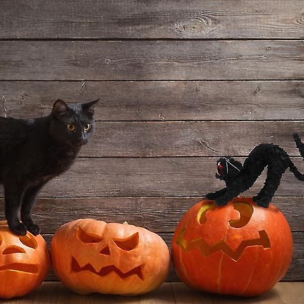 1 stk Halloween-katt til Halloween-dekorasjoner