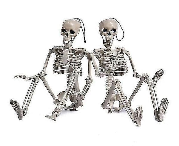 Halloween Skelet Simulation Menneskeskelet 40cm