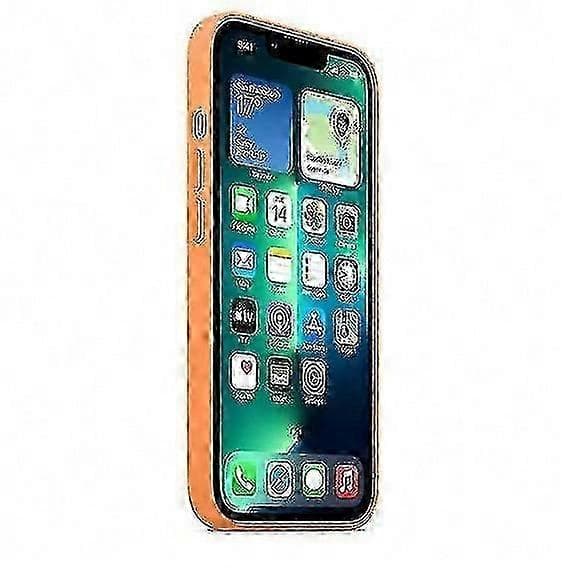 Silikonskal med Magsafe för iPhone 13 Pro - bs (Ringblomma)