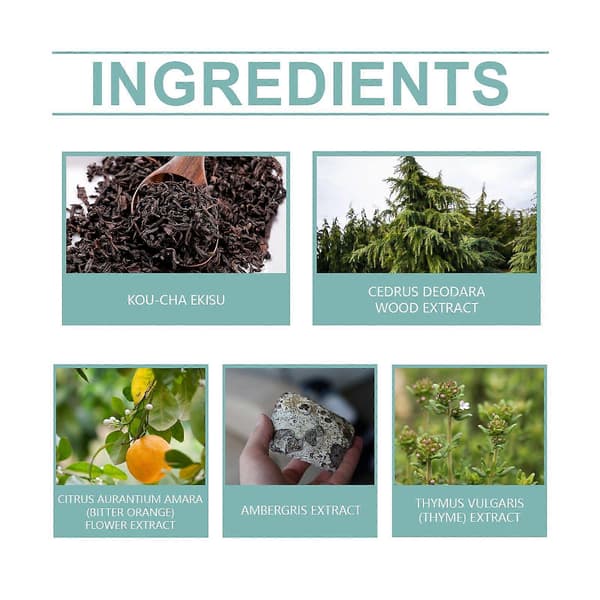 Niche Herreparfume, Langtidsholdbar Let Duft med Sort Te, Cedertræ & Appelsinblomst, Sofistikeret Ædel Duft