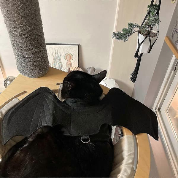 Kæledyr Halloween Flagermuskostume (s)