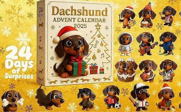 Hlraizz Gravhund Julekalender - 24 dages jule-nedtælling akrylpynt til festlig juleudsmykning