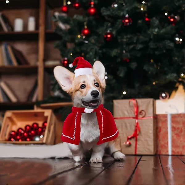 Dww-Julehue til kæledyr, julehalstørklæde til kæledyr, julekostume til katte og hunde, til julehøjtiden
