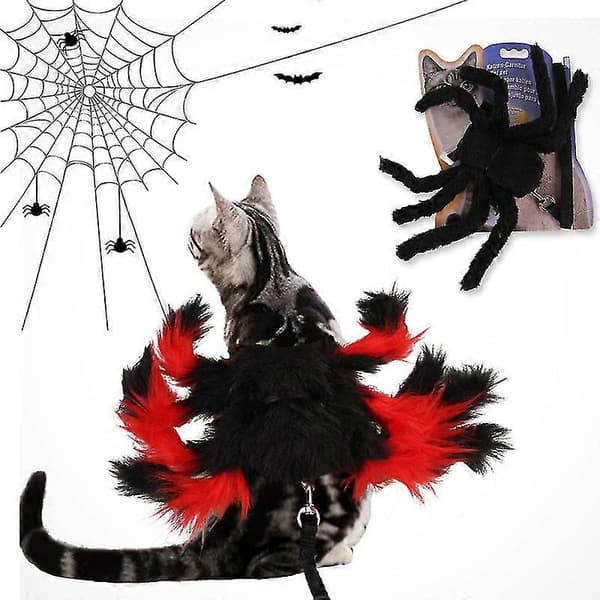 Husdjur Halloween-kostym, B09112 Röd