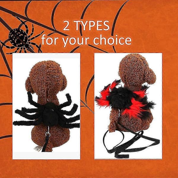 Kæledyr Halloween Kostume, Sort