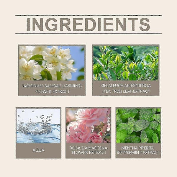 Elegant Rose & Peppermynt Parfymespray, Langvarig Reisevennlig Duft, 10ml