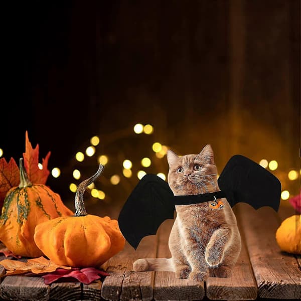 Kæledyr Halloween Flagermuskostume (s)