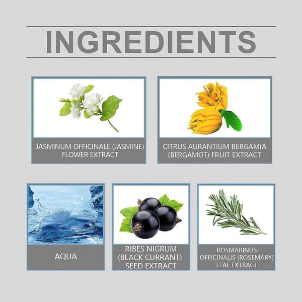 Roll-on parfume til mænd, langtidsholdbar duft af bergamot og solbær, bærbar 10 ml duft