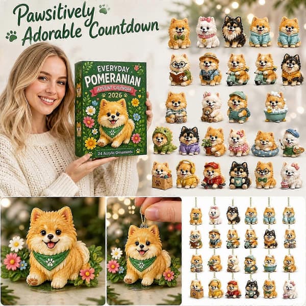 Everyday Pomeranian Julekalender 24 dages overraskelser Squishy legetøjsæske til jul