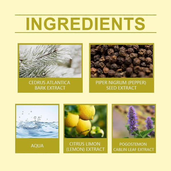 Lemon Summer Charm Parfume, Frisk Ikke-klæbrig Langvarig Duft med Citrus & Krydrede Noter