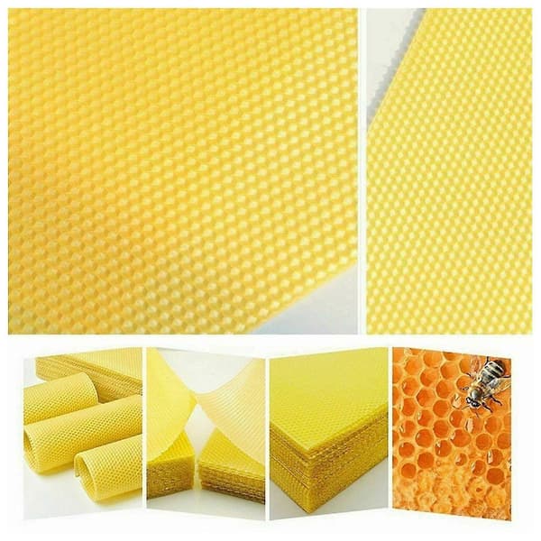 30 stk Bivoks Foundation Bee Hive Voks Rammer Birøkt Honeycomb Ark Gul