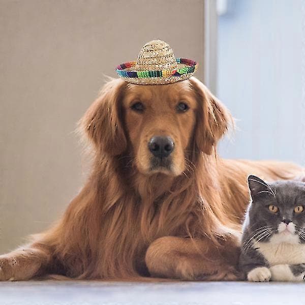 3 stk. Halloween kæledyrsdekorationshat Mexico-stil hat kæledyrs Halloween-kostumer