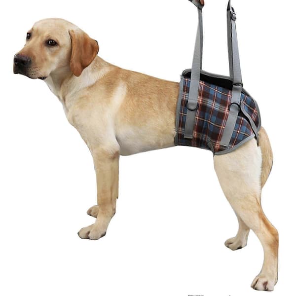 Hundeløftesele, justerbar, pustende, hjelpesele, funksjonshemmet, eldre hund