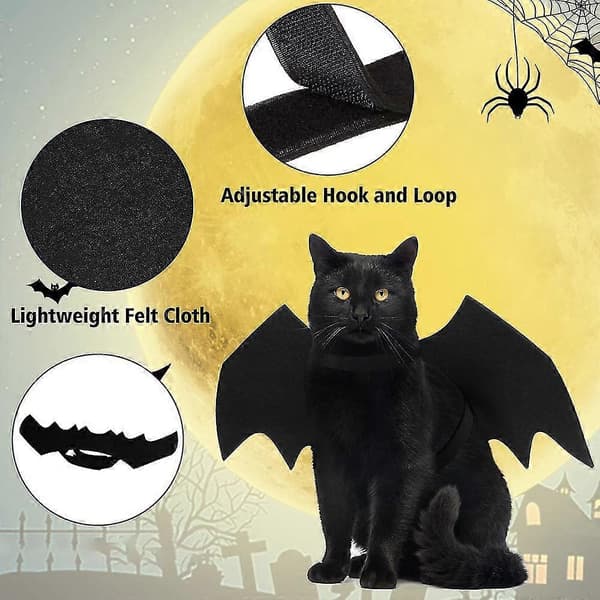 Kreative Halloween-kjæledyrklær, katter og hunder