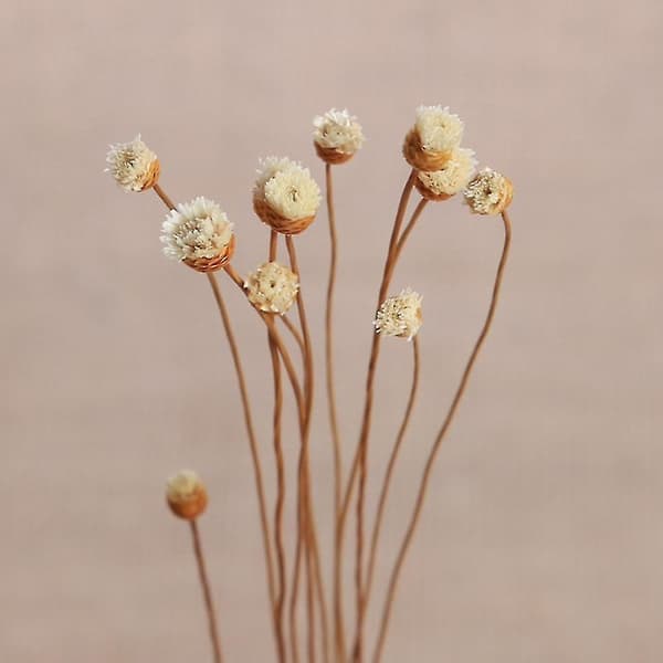 Bølgete Rattan Reed Diffuser Erstatningspåfyllingspinner, Kunstige Blomster Duftpinner