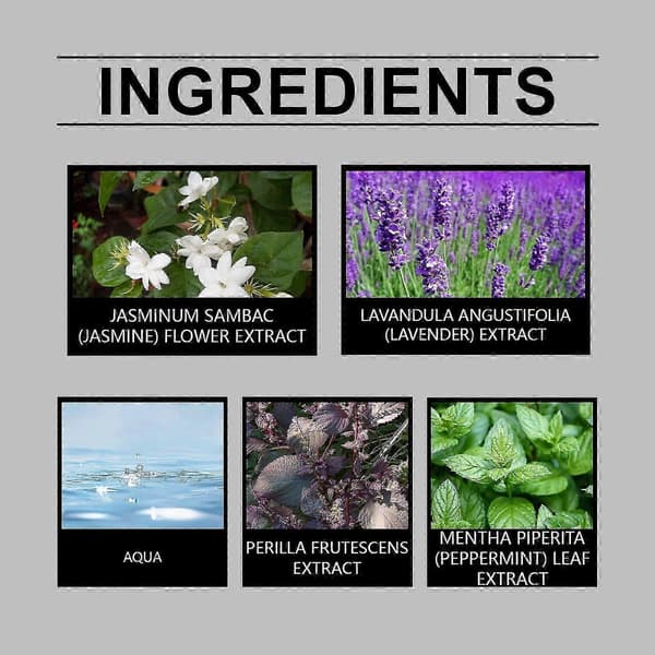 Jasminparfym, Romantisk Lätt Blommig Eau de Toilette med Mynta & Lavendel, 30ml