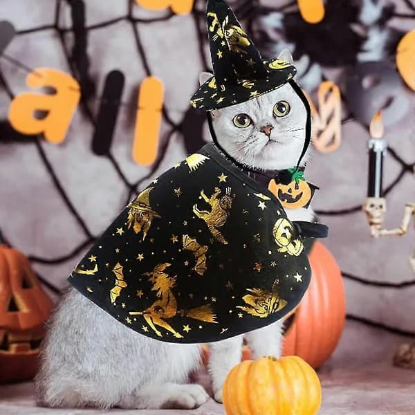 Kæledyr Halloween Troldmandskappe Sæt Kæledyrshund