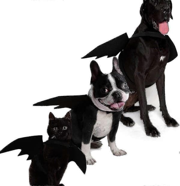 Kjæledyr Halloween Flaggermusdrakt