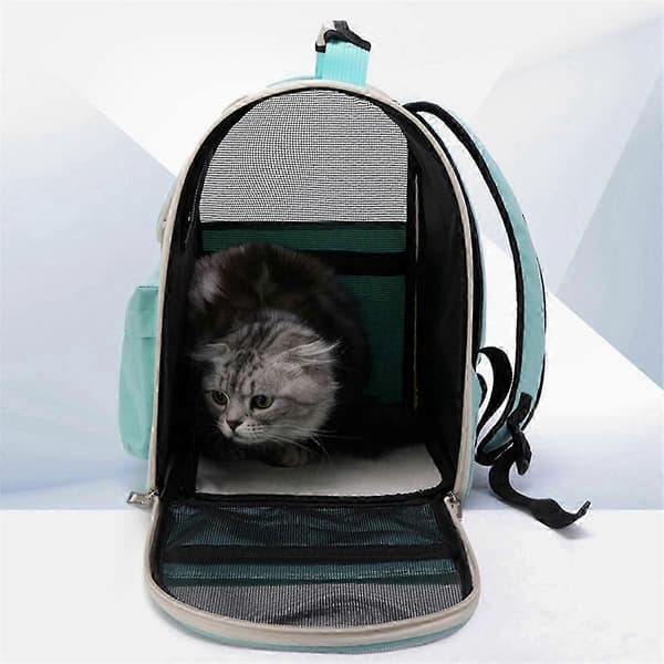 Large Capacity Cat Carrier, Cat Bag, Lake Green