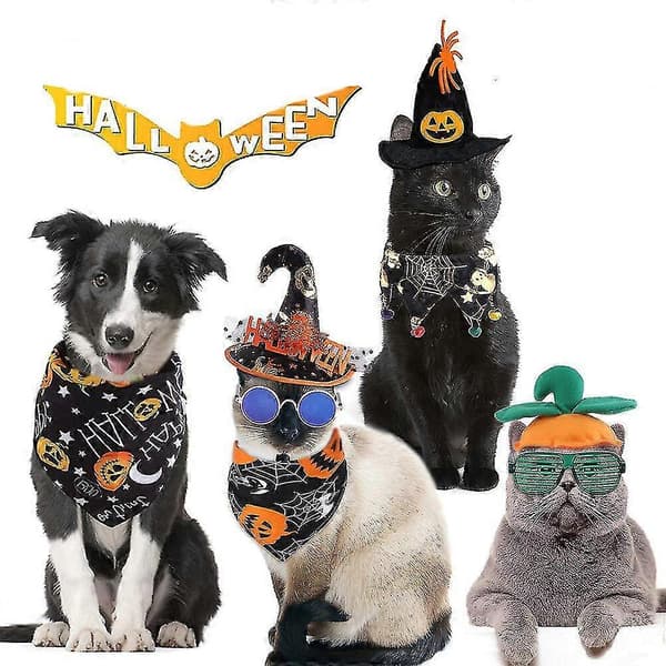 Kæledyr Halloween Sæt Sjove Kæledyr Rekvisitter