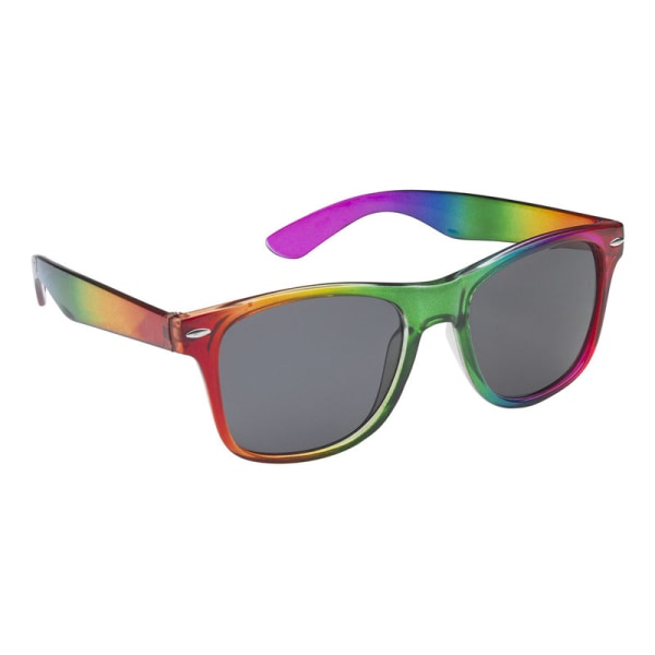 Pride / Rainbow Glasögon multifärg one size