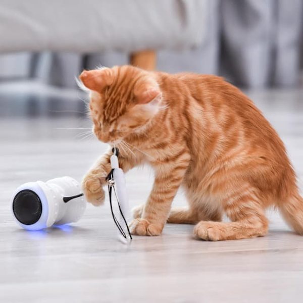 Remote Control Cat Toys for Indoor Cats - 2 Modes (Automatic & Manual), Interactive LED Toy Keeps Cats Active