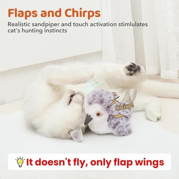 Interactive Cat Toy with Bird Movement and Catnip – USB Rechargeable