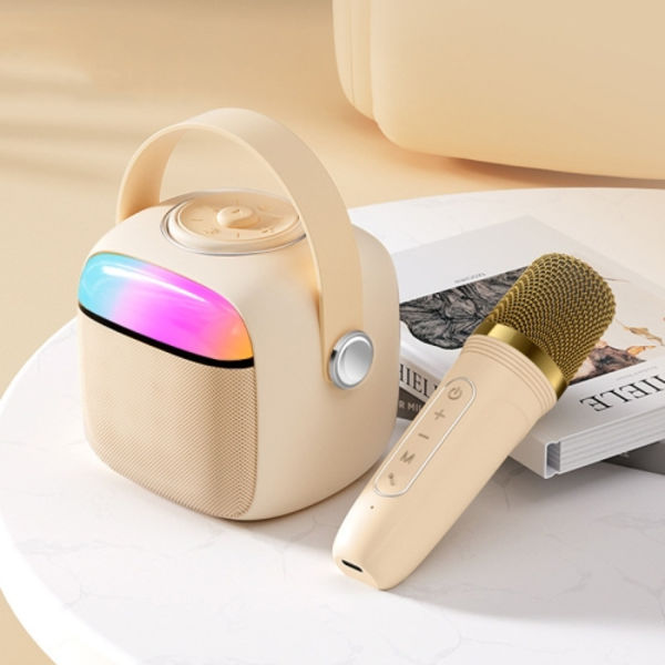 Havit P1 Bärbar Sång Hem Trådlös Bluetooth Högtalare Mikrofon Set, Stil: En-mikrofon