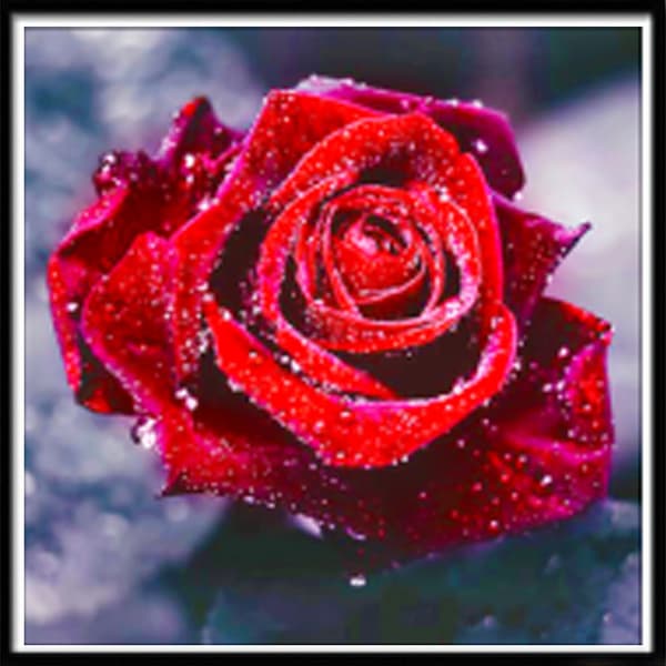 5D DIY Diamond painting - Blomma