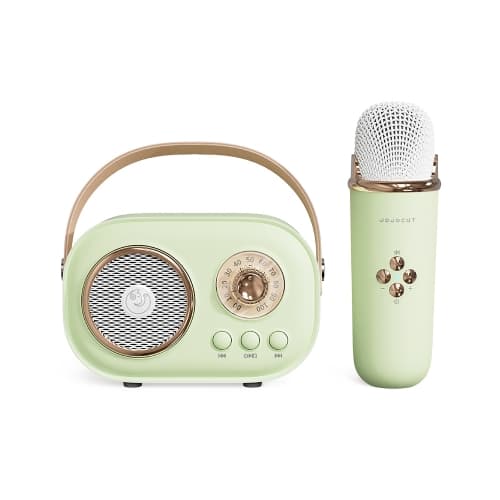 C20 Plus Multifunktionell Karaoke Bluetooth-högtalare med mikrofon (grön)