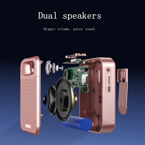 Rolton K700 Bluetooth Dubbelhögtalare Audiohögtalare Megafon Röstförstärkare (Roséguld)