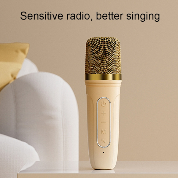 Havit P1 Bärbar Sång Hem Trådlös Bluetooth Högtalare Mikrofon Set, Stil: En-mikrofon