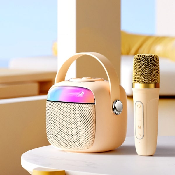 Havit P1 Bärbar Sång Hem Trådlös Bluetooth Högtalare Mikrofon Set, Stil: En-mikrofon