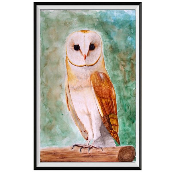 5D DIY Diamond painting - Uggla