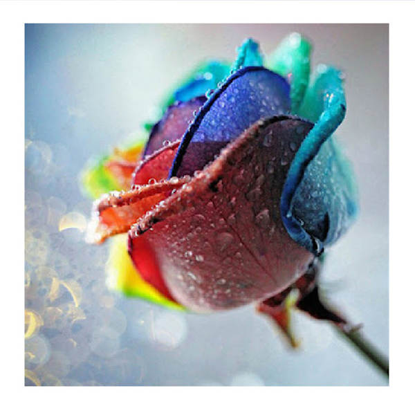 5D DIY Diamond painting - Blomma
