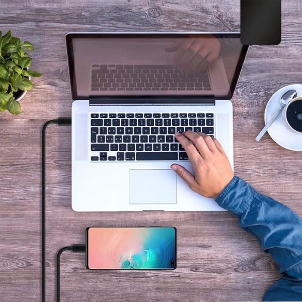 USB-C till USB-C Laddningskabel för Samsung Galaxy - E.F.CONNECTION - Lot 2 Svart