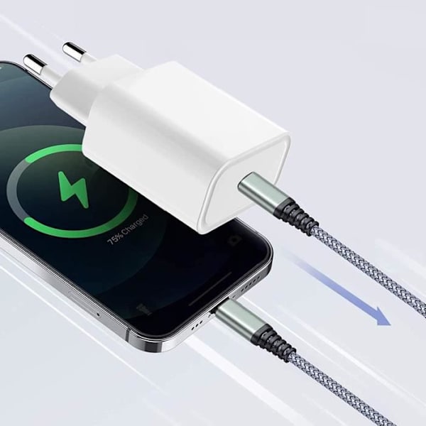 20W USB C nätadapter Laddare kompatibel för iPhone 13 - 13mini - 13Pro - 13Pro Max - 12 - 12mini - 12Pro - 12Pro Max[720]