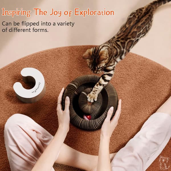 Interactive Scratch Toy for Cats - The Ultimate Interactive Mental and Physical Training