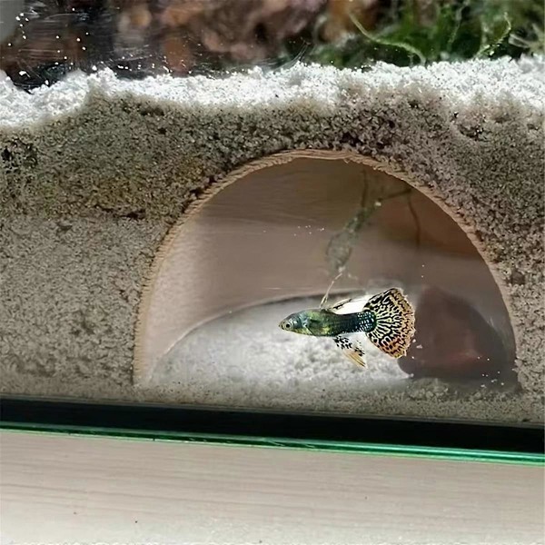Rekeavl Beskyttelseshule Akvarium Tunnel Lek og Hvile Fisketank - Landskapsornamenter Brun C