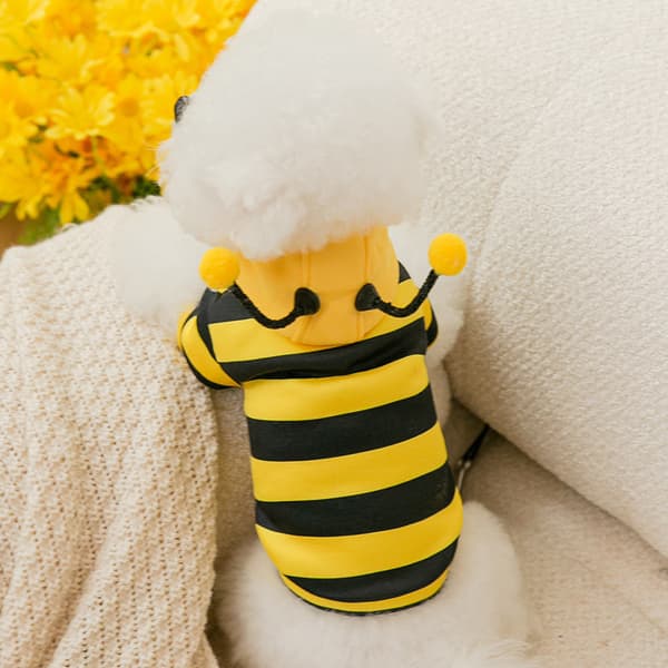 Dog Sweaters, Cat Clothes, Cute Pet Clothes, Warm Sweaters for Small and Medium Pets (S, Yellow Stripes)