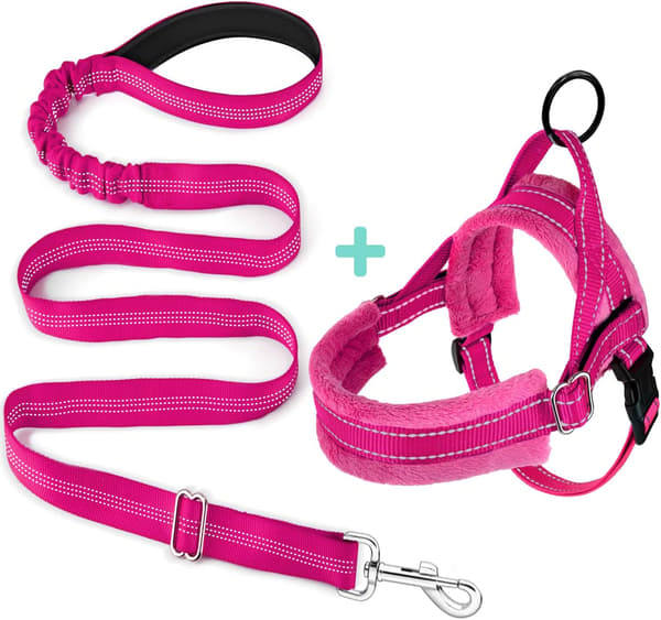 No Pull Small Dog Harness and Leash Set, Puppy Soft Vest Harness Neck