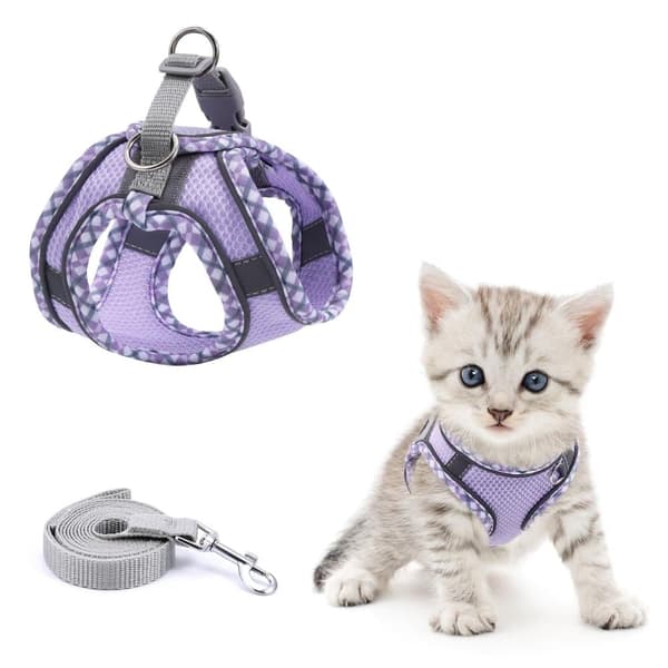 Adjustable Dog and Cat Harness with Leash, Reflective and Soft, Secure Fit