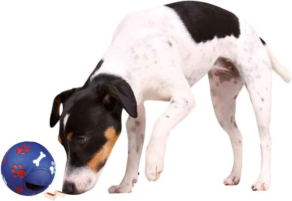Aktivitetsbold i Plast til Hunde, 5 cm i Diameter