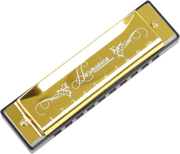 Blues Harmonica, Diatonic Blues Harmonica in C Key, 10 Holes 20 Tones Blues Harp Harmonica (Rose Red)