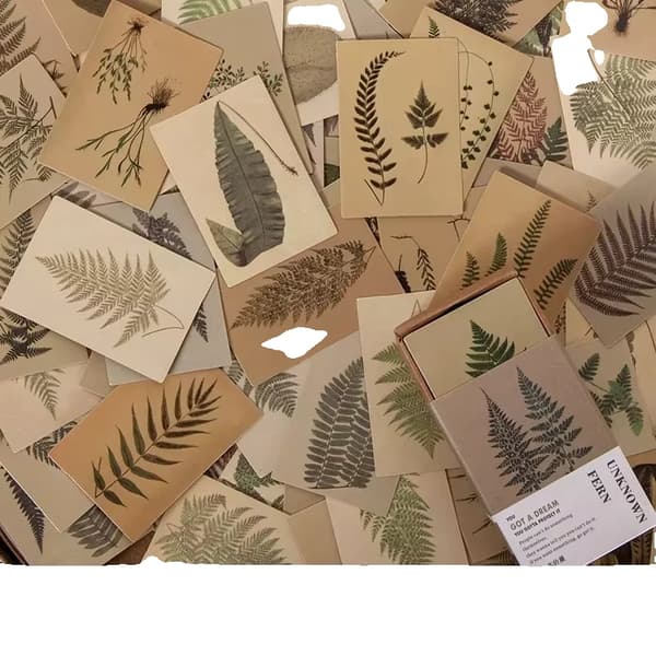 Samlingsmodel, Højkvalitets plastik, 10 x 5 x 3 tommer, Kompatibel med standard samlingssystemer, Nem at samle, Giftfrit materiale