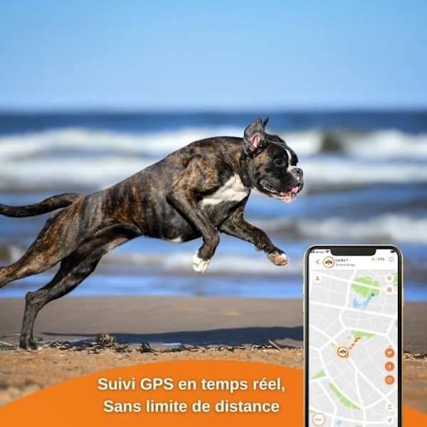 GPS -tracker til hunde - Weenect XS (Black Edition 2023)